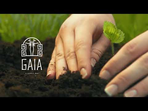 Gaia -  um conceito de morar em equilíbrio e com conforto.