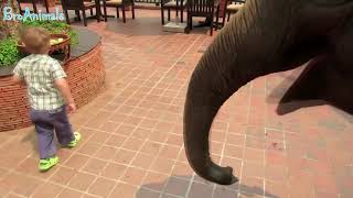 Приколы с Животными и Детьми Fun with Children and Animals