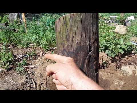 DIY Tiny House Foundation FOR FREE | PART 1 | Building a Homestead From Scratch: EP 12