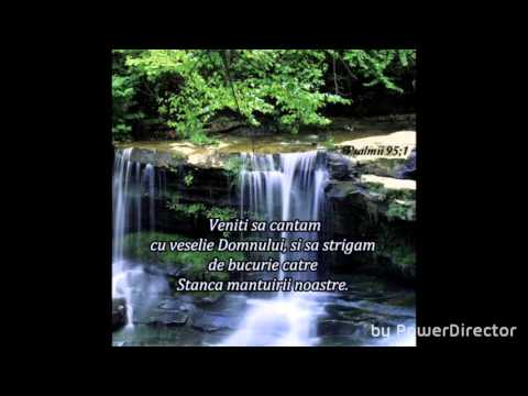 Stanca Mantuirii - Nicu Chereji