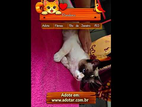 Vídeo de Pandora