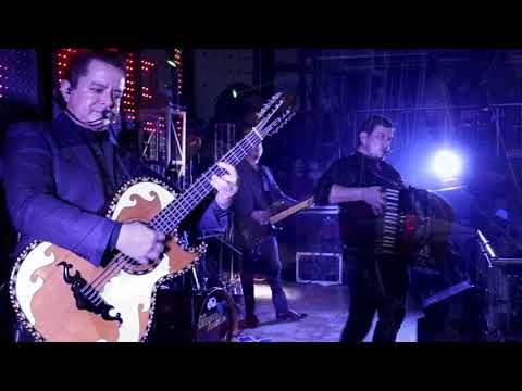 Los Alegres Del Barranco - Quise Pelear (Video En Vivo 2018) "EXCLUSIVO"