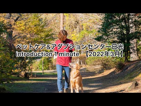 犬の遊び場 - 例とケア