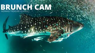 Live test from my new GoPro