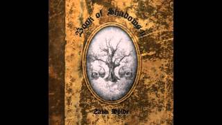 07 Eyes of Burdeen - Zakk Wylde (Book of Shadows II - 2016)