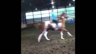 Fool like me ~ Cobra Starship