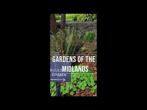 Clonohill Garden, Laois