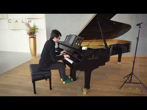 PIANO DEMO: Ant. Petrof 275 - Calm