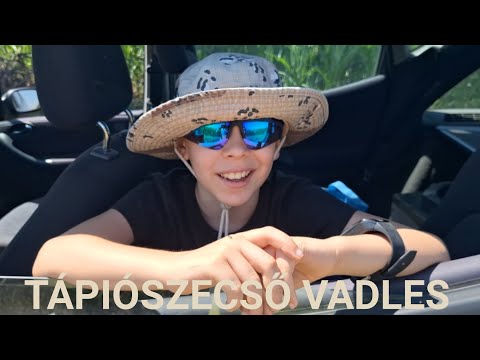 Tápiószecső vadles bejárás
