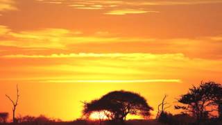 Download lagu Nick Holder - Summer Daze (Afrikan Roots Afro Touch Mix) mp3