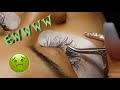 How to Deep Clean Clients Dirty Lashes !!