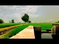 Pinda De Jaye Aa Sajjan Adeeb Latest Punjabi Song Status Video New Punjabi Song Status Video