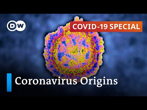 How forensic researchers track down the origins of SARS-CoV2 | COVID-19 Special