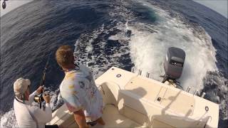 preview picture of video 'Windknot Wahoo Fishing'