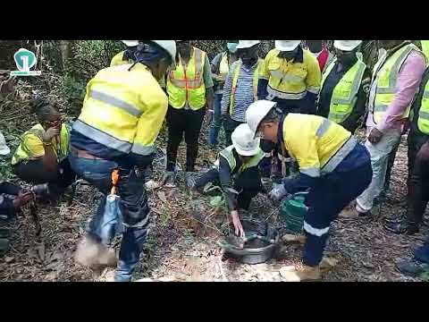 Zanetor Supports Mine Restoration Through Tree Planting