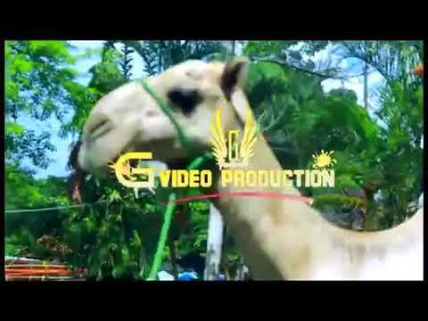 UKHTI DIDA MSAFARA MWEMA