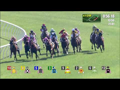 31/1/2021 (388) Beauty Smile - Matthew Chadwick