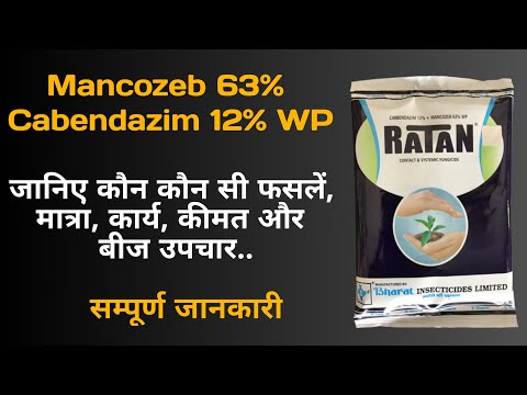 Carbendazim 12 Mancozeb 63 Wp Fungicide