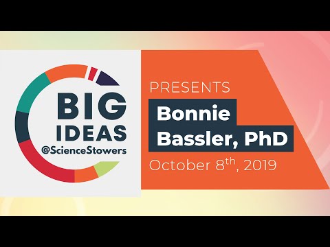 BIG IDEAS @ScienceStowers featuring Bonnie Bassler, PhD