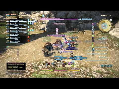 FINAL FANTASY XIV: A Realm Reborn Ninja gameplay level 30