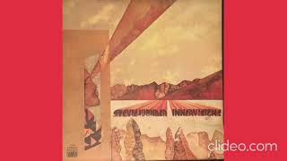 Stevie Wonder  Too High  432 hz