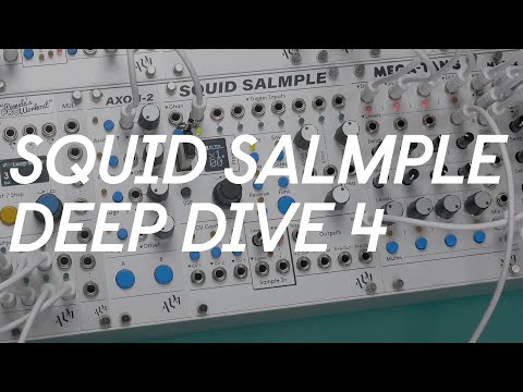 ALM/Busy Circuits ALM022 Squid Salmple 8-Channel Sampler Eurorack Synth Module 2021 - Present - Silver image 3
