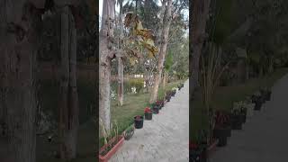 Download lagu Beautiful place 😍 #travel #music #nature #hiphopmusic #resort #dangdut #campursari mp3