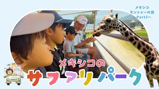 【子連れメキシコ旅行】〜メキシコモントレーの旅Part3〜サファリパーク『Bioparque Estrella』に行って来た‼︎