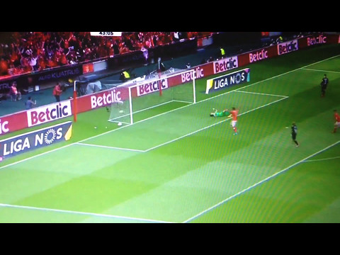 Golo Espetacular Jonas 4-0 VS Guimarães (13/05/2017)