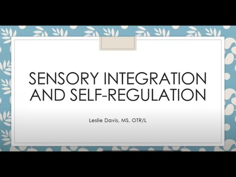 CEID Connect: Sensory Integration & Self-Regulation