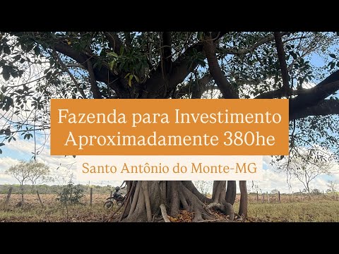 Fazenda para Investimento de 380 hectares - Santo Antônio do Monte/MG 