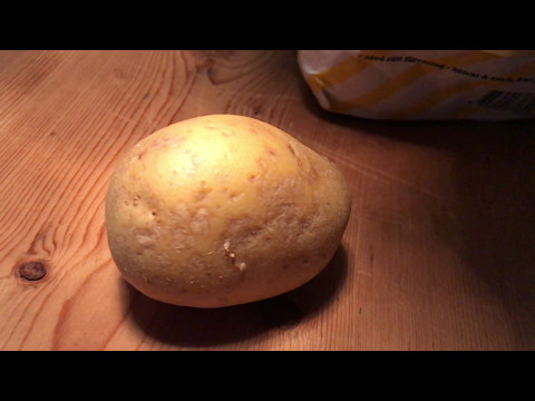 Groningshämare - odla potatis - Varför inte använda en ätpotatis till sättpotatis Odlingsdagboken