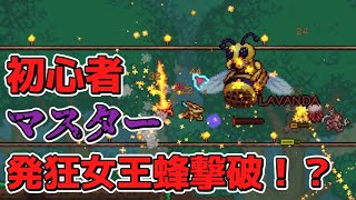 【テラリア】マスター発狂女王蜂撃破！？/初心者は教わりながらマスター攻略するってさPart5【ゆっくり実況】