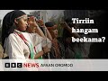 Tirrii Faaruu Miidhagina Misirroo Arsii BBC News Afaan Oromoo