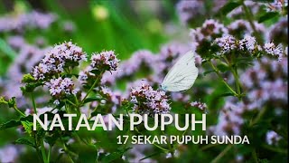 Download lagu NATAAN PUPUH - 17 SEKAR PUPUH SUNDA mp3