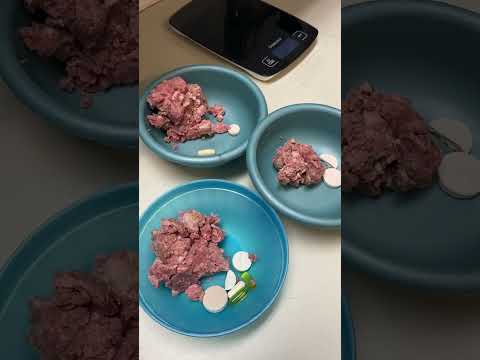 A Day in Wolf Care - Part 1