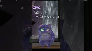 🔴LIVE CAMERA　ウズネコ　【占いテーマ：この先一週間の 「金運を爆上げ」するヒント】2026.07.11