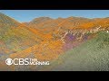 Lake Elsinore poppy fields: Visitors overwhelm California town