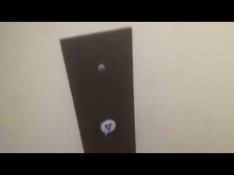 80s Westinghouse MPH I elevator - Reeves Memorial Library - Seton Hill University - Greensburg, PA