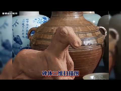 刻在石头上的国耻！追讨唐鸿胪井碑的艰难之路 #唐鸿胪井碑，流失文物，对日追讨，国耻历史，清朝近代史