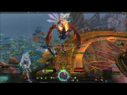 WoW Demon Hunter Solo : Heroic Skyreach (NO ARAKNATH)