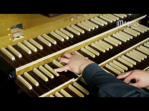 Felix Alexandre Guilmant - Sonata No.4 in D minor, Op.61 (Allegro assai)