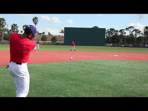 Backhand Rake Fungo