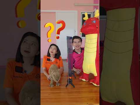 ทายสัตว์ข้ามกำแพง ตลกๆ #funny