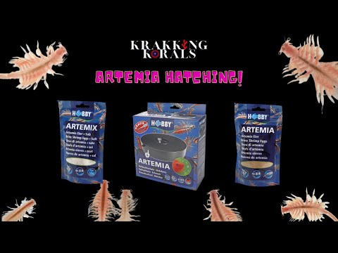 Watch Video on YouTube