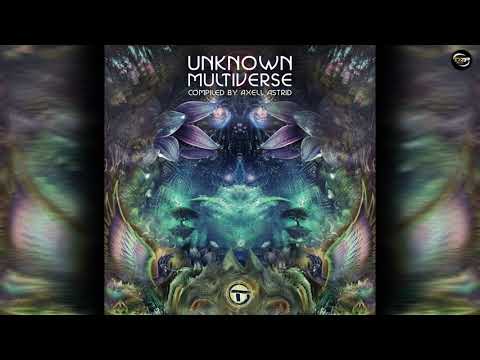 Vertikka - Psychedelic Universe