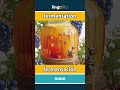 fermentation - fermentación video thumbnail