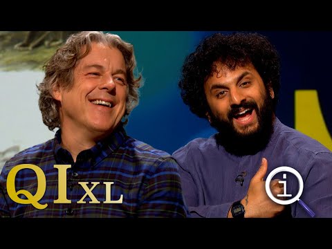 QI Series 18 XL: Quads & Quins | With Aisling Bea, Nish Kumar & David Mitchell