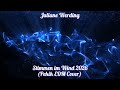Juliane Werding - Stimmen im Wind 2026 (Pekik EDM Cover) 