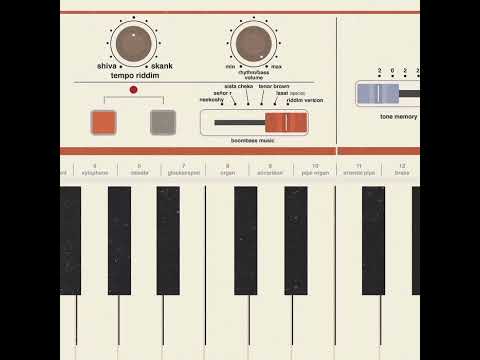 Shiva Skank & Neekoshy - Lyrical Machine